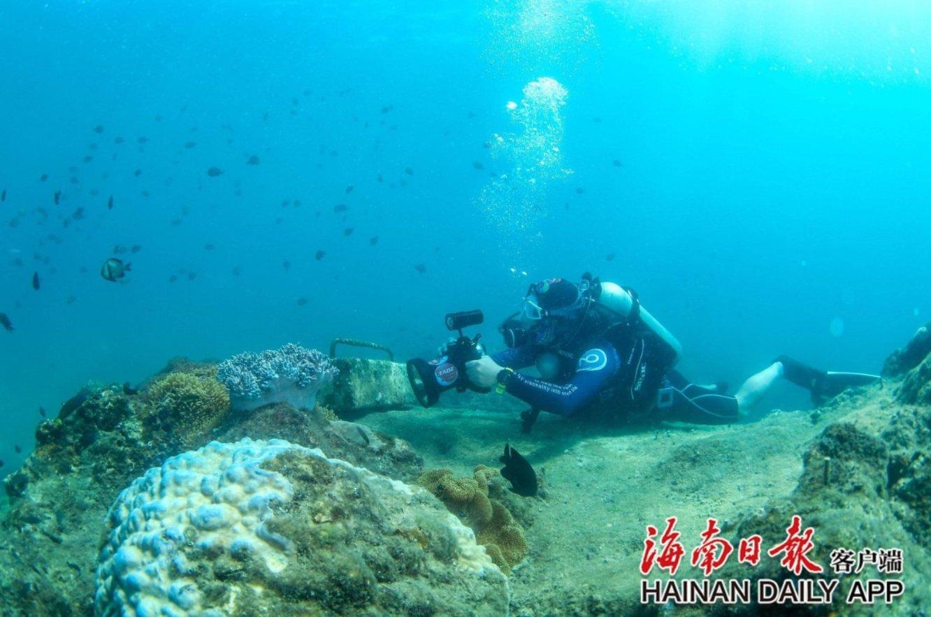 竞技宝one